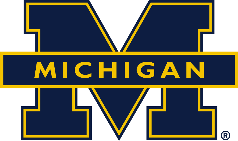 Michigan Wolverines 2016-Pres Secondary Logo v3 diy DTF decal sticker